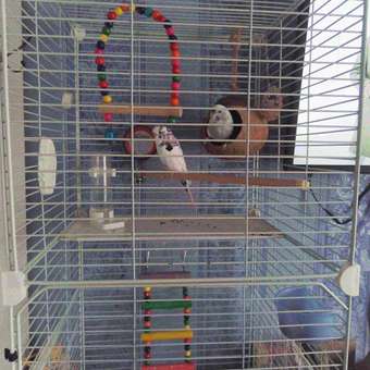 Корм для волнистых попугаев RIO основной 1кг: отзыв пользователя. Зоомагазин Зоозавр