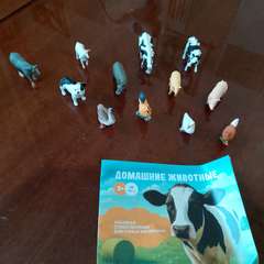 Фото отзыва 10779902