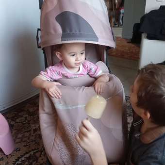 Коляска прогулочная Babyton Ellipse Pink розовый: отзыв пользователя Детский Мир