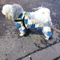 Фото отзыва 10754623