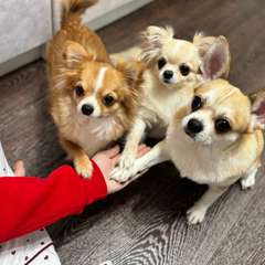 Фото отзыва 10618032