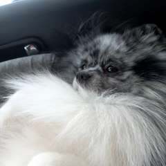 Фото отзыва 10916507