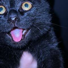 Фото отзыва 10640083