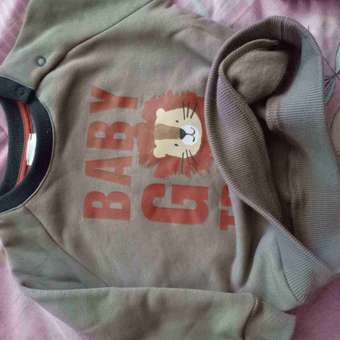 Свитшот Baby Gо Trend: отзыв пользователя Детский Мир