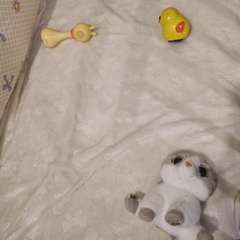 Фото отзыва 8587331