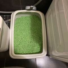 Фото отзыва 10531049