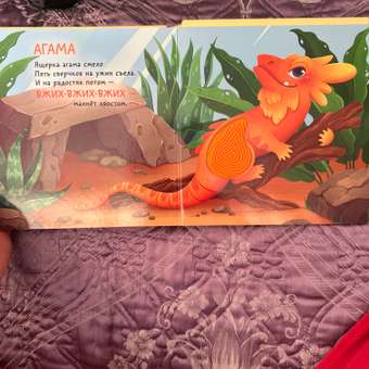 Книга АСТ Домашние любимцы Тактильная развивающая: отзыв пользователя Детский Мир