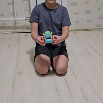 Игрушка TIPTOPOLIS каталка: отзыв пользователя Детский Мир