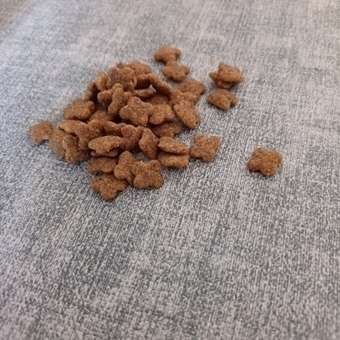 Корм для собак ROYAL CANIN пожилых мелких пород 2кг: отзыв пользователя. Зоомагазин Зоозавр