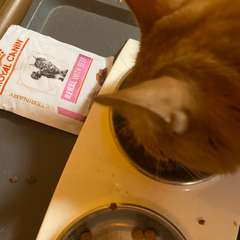 Фото отзыва 10707788