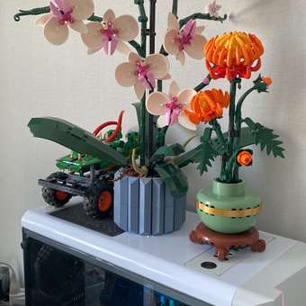Конструктор LEGO Botanicals Хризантема: отзыв пользователя Детский Мир
