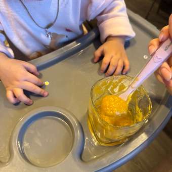 Пюре Bebivita Овощи с рисом и говядиной с 8 мес 190 г: отзыв пользователя Детский Мир