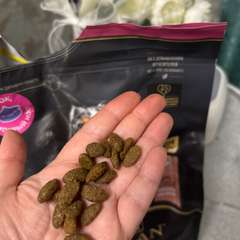 Фото отзыва 11090411