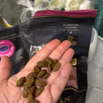 Корм сухой для собак PRO PLAN SENSITIVE SKIN 3 кг с лососем для средних пород: отзыв пользователя. Зоомагазин Зоозавр