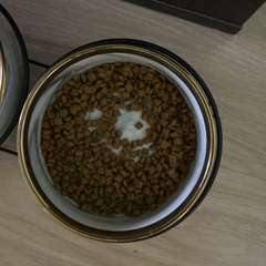 Фото отзыва 10965953