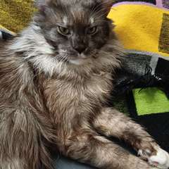 Фото отзыва 10539739