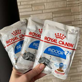 Корм для кошек ROYAL CANIN Indoor 85г для пожилых стерилизованных кошек 7+ соус пауч: отзыв пользователя. Зоомагазин Зоозавр