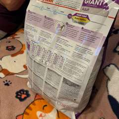 Фото отзыва 10485776