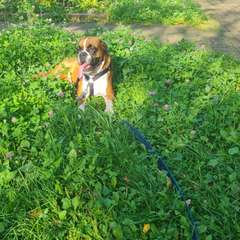 Фото отзыва 10298335