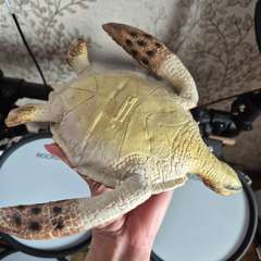 Фото отзыва 10304445