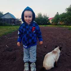 Фото отзыва 7072934