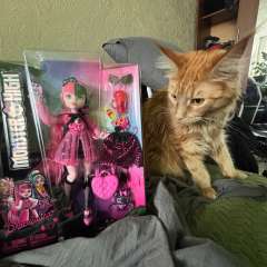 Фото отзыва 11063980