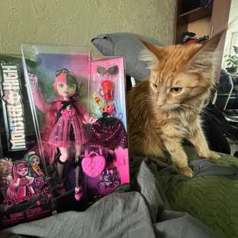 Кукла модельная Monster High Дракулаура: отзыв пользователя Детский Мир