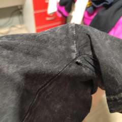 Фото отзыва 11168160