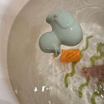 Прорезыватель OLI and CAROL: отзыв пользователя Детский Мир