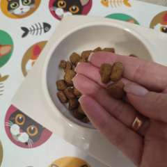 Фото отзыва 10551771