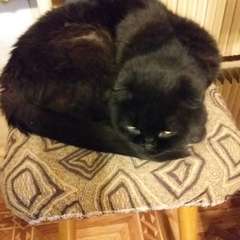 Фото отзыва 10536250