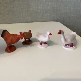 Игровой набор 1TOY Домашняя птица: отзыв пользователя ДетМир