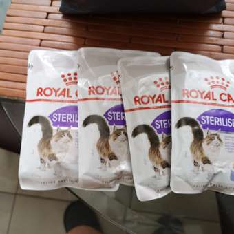 Корм сухой для кошек ROYAL CANIN Hair/Skin Care 2кг для поддержания здоровья кожи и шерсти: отзыв пользователя. Зоомагазин Зоозавр