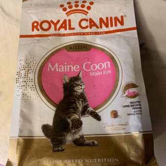 Корм для котят Royal Canin 400г Maine Coon породы мейн-кун: отзыв пользователя. Зоомагазин Зоозавр