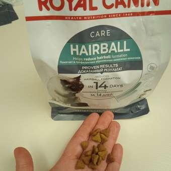Корм сухой для кошек ROYAL CANIN Hairball Care 400г для профилактики образования волосяных комочков в желудочно-кишечном тракте: отзыв пользователя. Зоомагазин Зоозавр