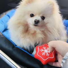 Фото отзыва 8391642