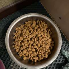 Фото отзыва 10676246