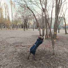 Фото отзыва 10726828