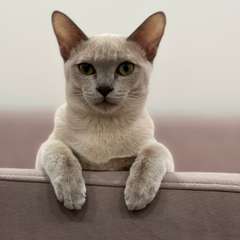 Фото отзыва 11000772