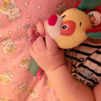 Игрушка BabyGo погремушка Собачка: отзыв пользователя ДетМир