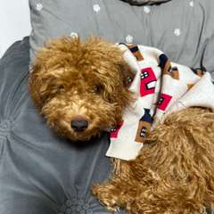 Фото отзыва 11040071