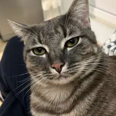 Фото отзыва 10652835