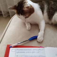 Фото отзыва 10630843