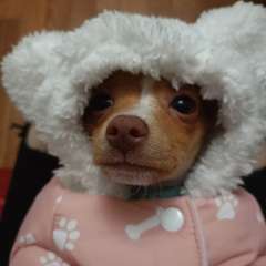 Фото отзыва 10691912