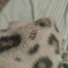 Фото отзыва 10708035