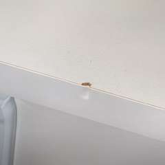 Фото отзыва 10855602