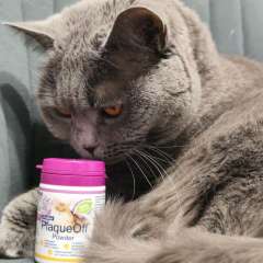 Фото отзыва 11127787