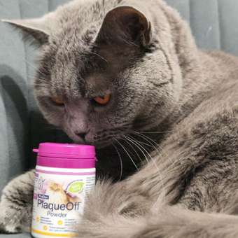 Средство для кошек PlaqueOff для профилактики зубного камня 40г: отзыв пользователя. Зоомагазин Зоозавр
