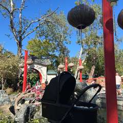 Фото отзыва 10636815