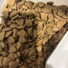 Фото отзыва 10934129